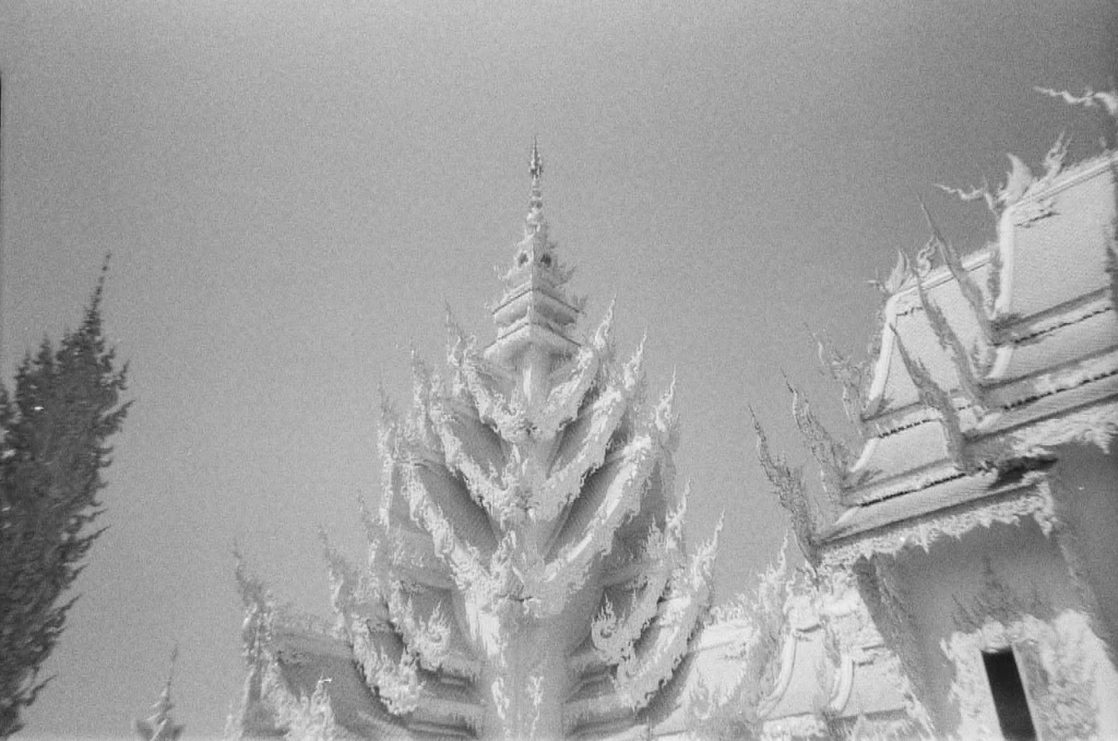 Temple blanc, ornement